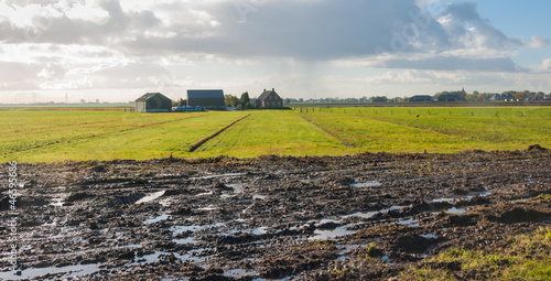 Photo: Wet field in the autumn season Wet field in the autumn season