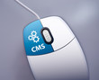 CMS selbst pflegen