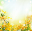 Photo: Flowers Flowers