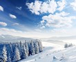 Winter Wonderland