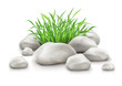 Vector: green grass in stones as landscape design element vector green grass in stones as landscape design element vector