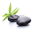 Zen pebbles. Stone spa and healthcare concept.