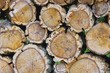 Holzstapel Korkeiche - stack of wood from cork oak 03