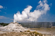 Castle geyser - Parc de Yellowstone, USA