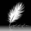 Vector illustration of white Feather, pen, calligraphy writing