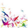 Abstract swallows background # Vector