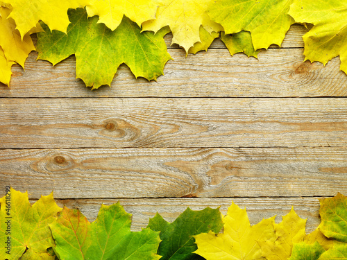 Photo: Autumn Leaves over wooden background.With copy space Autumn Leaves over wooden background.With copy space