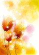 Background with transparent easy colors.