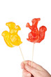 Hand holding two squirrel shape lollipops