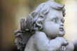 Foto: Kleiner Engel - Little Angel Kleiner Engel - Little Angel
