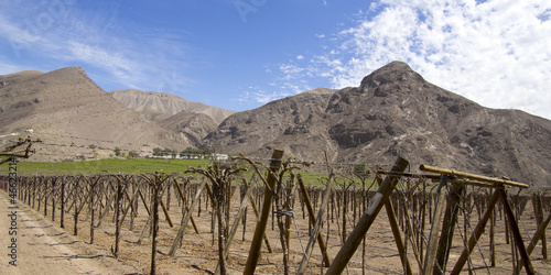 Photo: Agriculture in the Andean mountains Agriculture in the Andean mountains