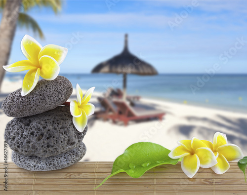 Photo: vacances tropicales vacances tropicales