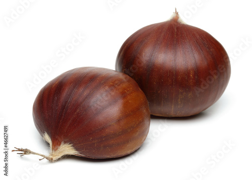 Photo: Two Chestnuts Two Chestnuts