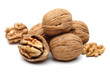 Walnut Group