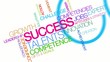 Success word tag cloud colorful animation video