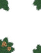 pine bough