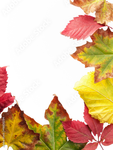 Photo: Fall frame Fall frame