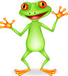 Happy frog cartoon