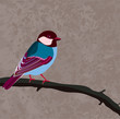 colorful bird on a branch tree on a grunge background
