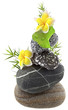 décor galets, bambou et fleurs de frangipanier