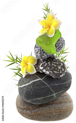 Photo: décor galets, bambou et fleurs de frangipanier décor galets, bambou et fleurs de frangipanier