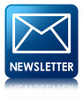NEWSLETTER Blue Square Button