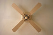 Deckenventilator