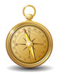 Gold compass vector