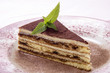 Tiramisu auf einem Teller mit Minze und Kakaopulver