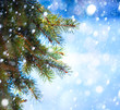 Art Christmas tree branch and snow fall
