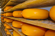 Cheese rack in refining in Gouda