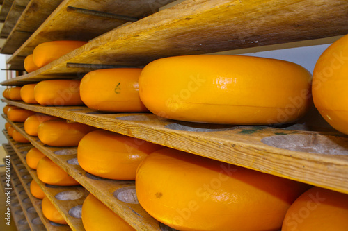 Photo: Cheese rack in refining in Gouda Cheese rack in refining in Gouda