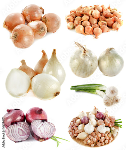 Photo: group of onions group of onions