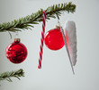 christmas balls in a branche