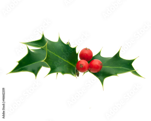 Photo: Holly Holly