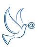 Pigeon at