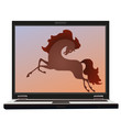 Horse on the screen of the notebook