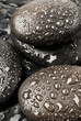 Spa Stones. zen stones with water drops