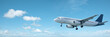 Jet in flight. Panoramic composition.