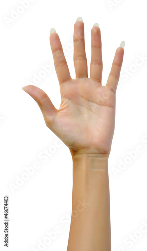 Photo: Woman hand (palm) Woman hand (palm)