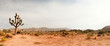 Joshua Tree National Park, USA. Panoramic shot.