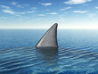 Great White Shark Fin