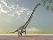 Illustration: Dinosaur Mamenchisaurus Dinosaur Mamenchisaurus