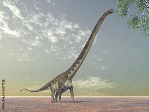 Illustration: Dinosaur Mamenchisaurus Dinosaur Mamenchisaurus