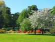 Summer park