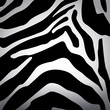 Zebra background