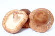 Photo: Pilze2 Pilze2