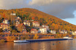 Heidelberg am Neckar im Herbst