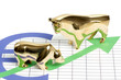 Börse Bulle und Bär