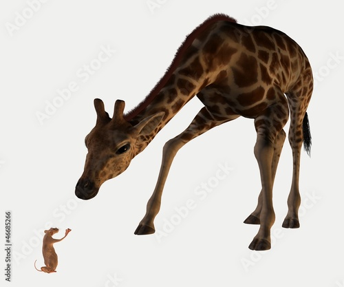 Illustration: souris et girafe souris et girafe